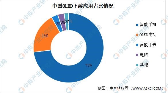 2023年中國OLED行業(yè)市場前景及投資研究報告(簡版)(圖10)